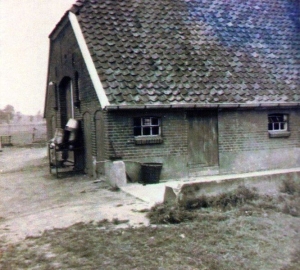 BOE 15 Boschhof achterhuis 1950